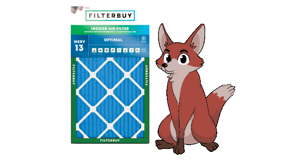Illustrated fox character