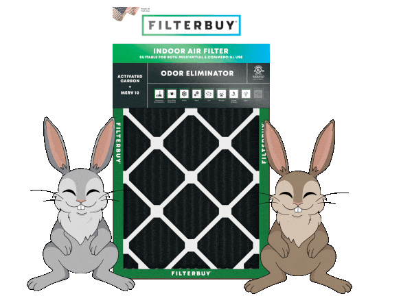Illustrated pair of rabbits