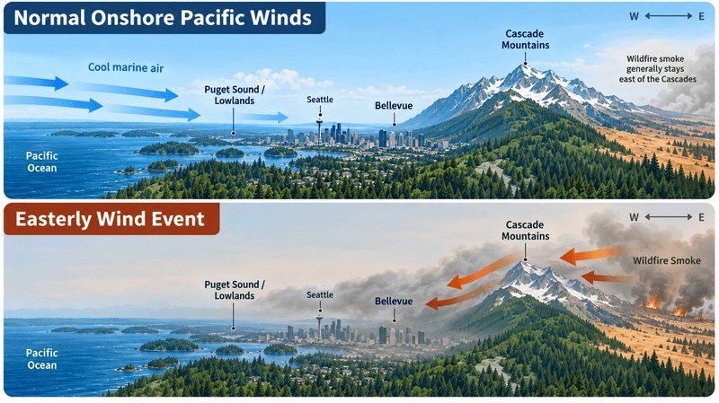 Diagram comparing normal onshore Pacific winds with an easterly wind event that carries wildfire smoke over the Cascades into Bellevue.