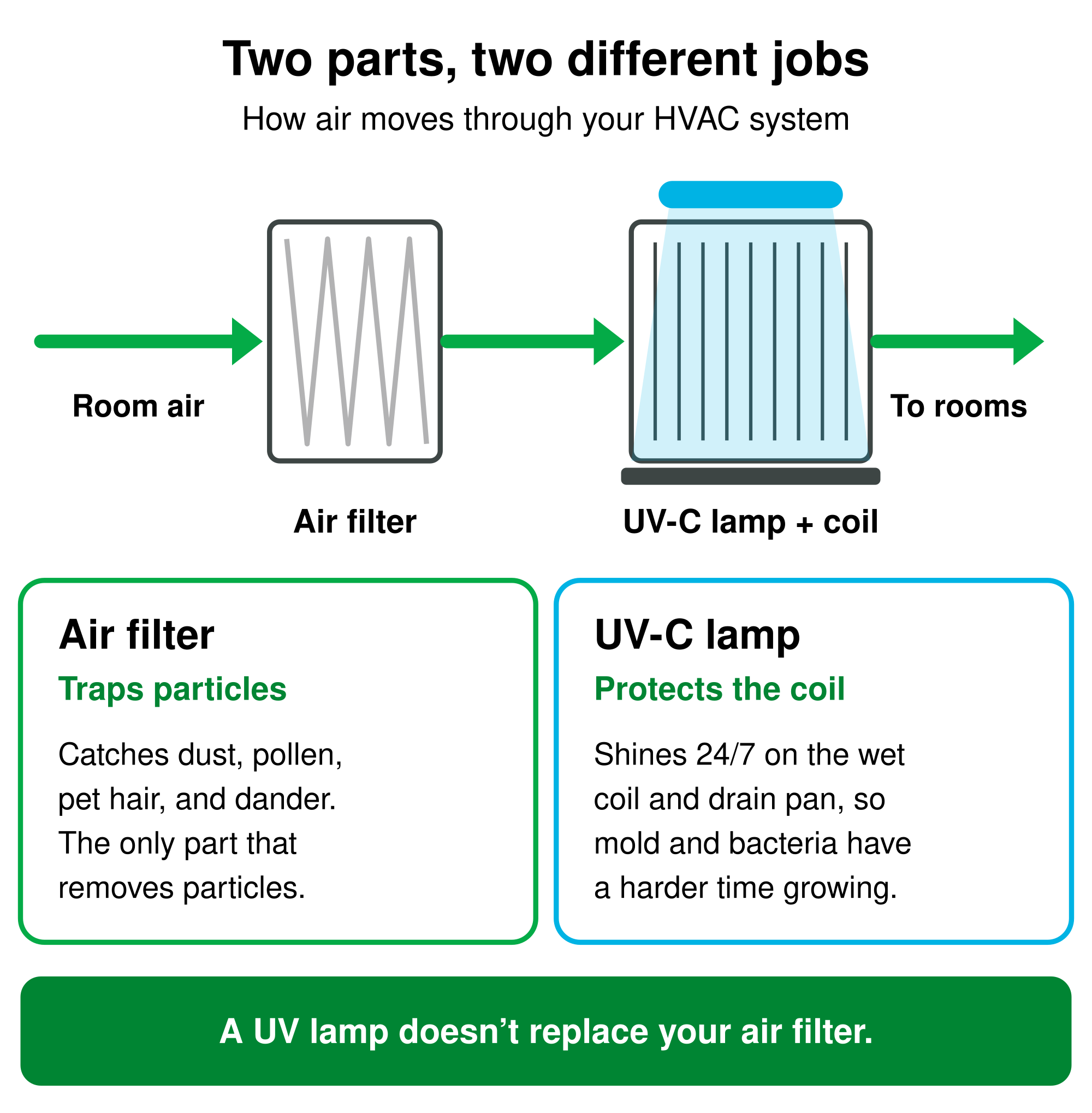 Diagram of air moving through an HVAC system: room air passes an air filter that traps dust, pollen, pet hair, and dander, then crosses an evaporator coil lit by a UV-C lamp that helps keep mold and bacteria from growing on the coil and drain pan. A UV lamp doesn’t replace your air filter.