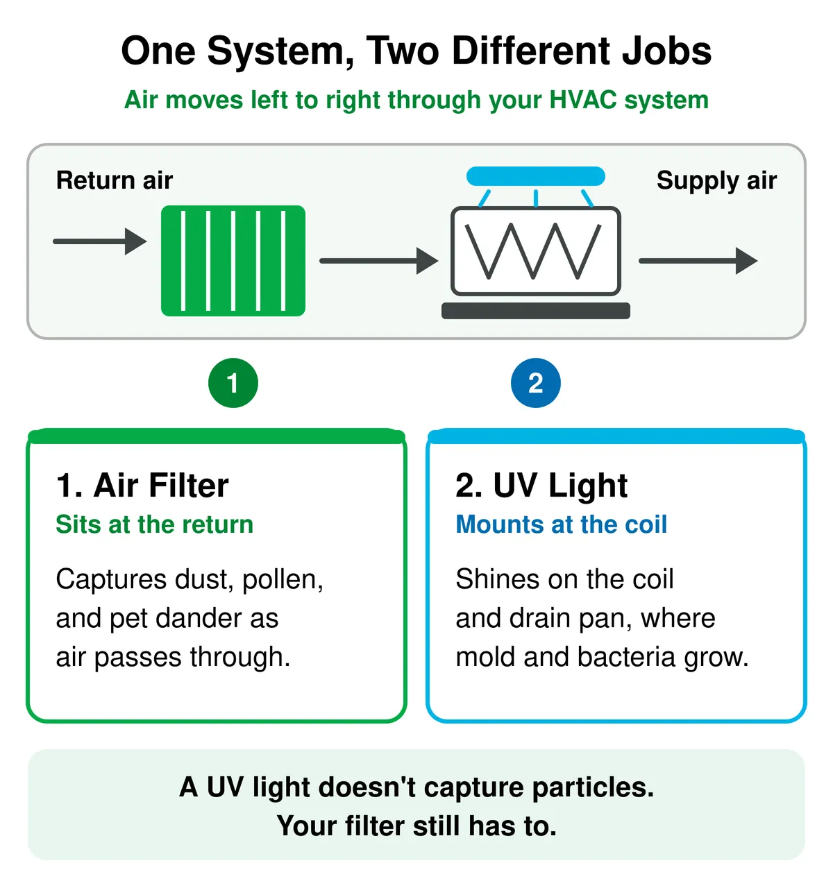 Diagram of air moving through an HVAC system. The air filter at the return captures dust, pollen, and pet dander. The UV light at the coil shines on the coil and drain pan. A UV light does not capture particles, so the filter still has to.