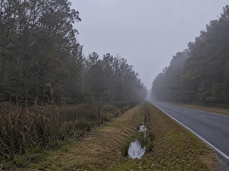 Low-lying smoke haze from a peat fire drifting across a rural road in southern Chesapeake, Virginia.