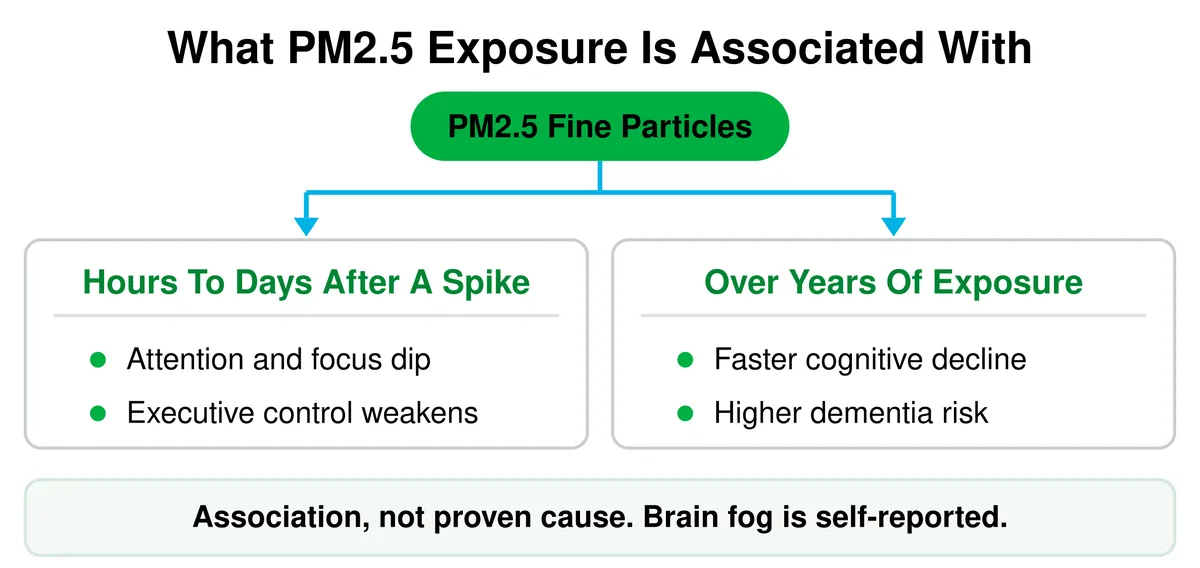 Two-panel chart. PM2.5 fine particles branch to two timescales. Hours to days after a spike: attention and focus dip, executive control weakens. Over years of exposure: faster cognitive decline, higher dementia risk. Footer reads association, not proven cause, and brain fog is self-reported.