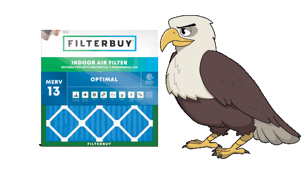 Illustrated eagle character